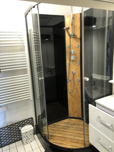 une douche avec une porte vitrée dans une salle de bain dans l'établissement Quartier Couchant Studio cabine pour 6 personnes N102, à La Grande Motte