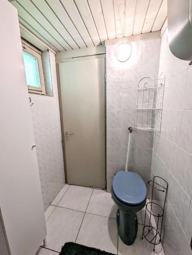 a bathroom with a blue toilet and a shower at DunaTanya dunaparti nyaraló in Dunaföldvár