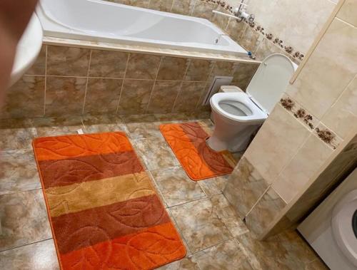 a bathroom with a toilet and a bath tub at Жануя in Zhezdi