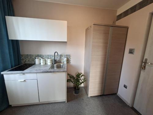 a kitchen with a sink and a shower at Marynarski z kuchnią i łazienką in Koszalin