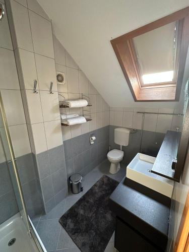 a bathroom with a shower and a toilet and a sink at Cottage on Una in Bihać