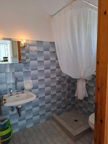 un bagno con lavandino, WC e tenda da doccia di Villa Nikitas a Párga
