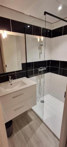 une salle de bain avec une douche, un lavabo et un miroir dans l'établissement Cottage Confort 1 Ch, à Mareuil-sur-Lay