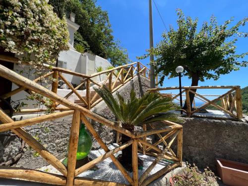 a wooden fence with a plant on the stairs at Rooms Hub Costa d'Amalfi - Vietri sul Mare in Vietri sul Mare