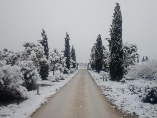 Photo de la galerie de l'établissement Ferienwohnung Goquelicot Le Petit Luberon, à Cabrières-dʼAvignon