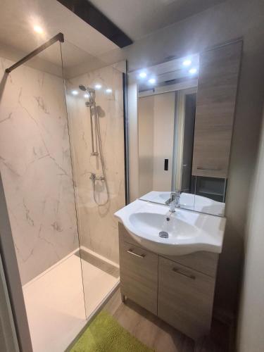 une salle de bain avec un lavabo et une douche dans l'établissement Cottage Familly 2Ch, à Mareuil-sur-Lay