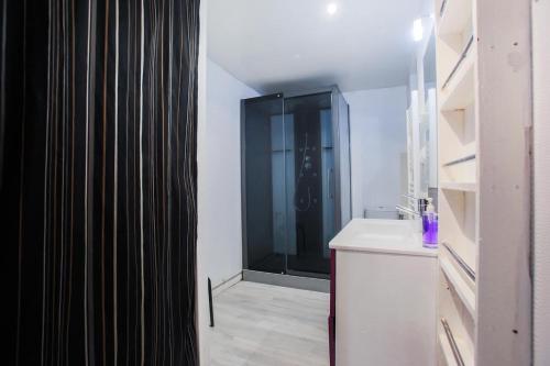 een badkamer met een douche met wastafel en spiegel bij Studio spacieux pour 4 personnes in Clermont-Ferrand