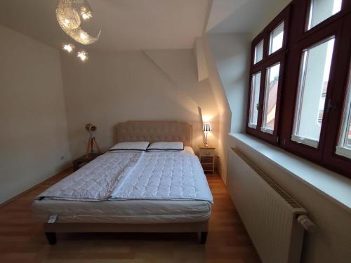 ピルナにあるLa Palomaの窓のある部屋にベッドがある寝室