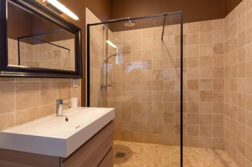 a bathroom with a sink and a shower at Beau gite avec couloir de nage in Le Garn