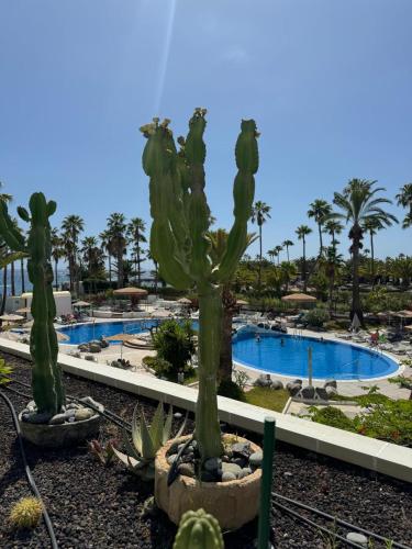 Classy Studio La Caleta