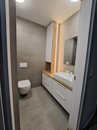 une salle de bains avec toilettes et lavabo dans l'établissement Mezenin Solis, à Koper
