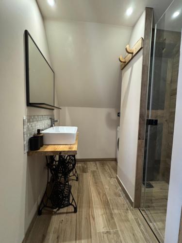 une salle de bain avec un lavabo et une douche dans l'établissement Appartement vu sur lac, à Estaing
