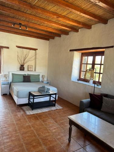 una camera da letto con un letto, un divano e un tavolo di Villa Kostopoulos Studio Zeus a Kampos Paros