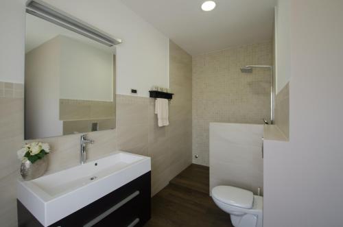 Gallery image of Luxury Istrian Apartment ZP in Marčana