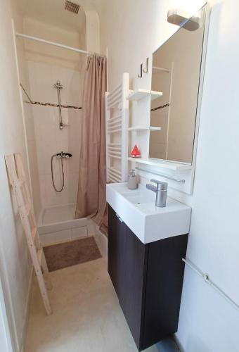 une salle de bain avec un lavabo, un miroir et une douche dans l'établissement Studio for 2 close to beaches, à Toulon