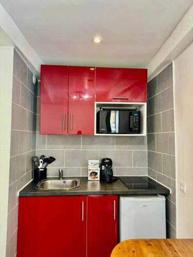 - une cuisine rouge avec évier et four micro-ondes dans l'établissement Studio Nice Port BONAPARTE Place du Pin, à Nice