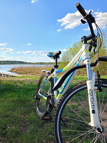 una bicicleta estacionada en el césped cerca de un cuerpo de agua en Domy Trapera, en Zdory