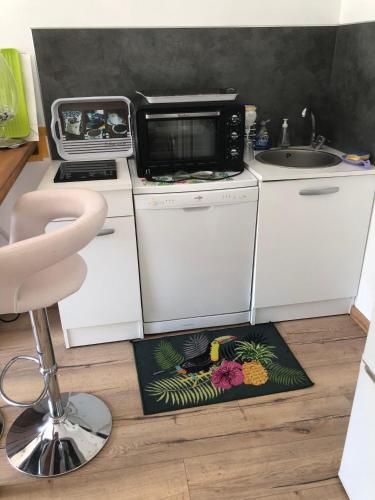 une cuisine avec un micro-ondes, un évier et un tapis de cuisine dans l'établissement Petite Gaudiniere, à La Chapelle-Gauguin
