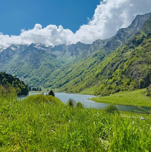 une rivière dans une vallée avec des montagnes en arrière-plan dans l'établissement Appartement vu sur Lac, à Estaing