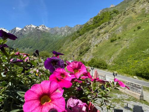 Une bande de fleurs roses devant une montagne dans l'établissement Appartement vu sur Lac, à Estaing