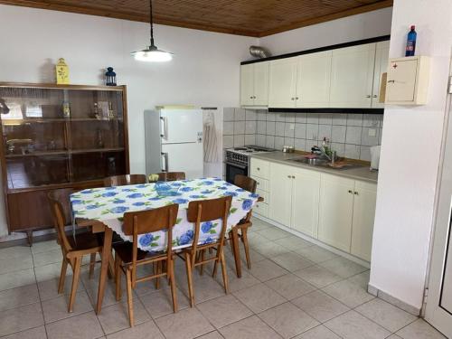 Paralía AvdhíronにあるPavlos Beach Houseのテーブルと椅子と冷蔵庫のあるキッチン