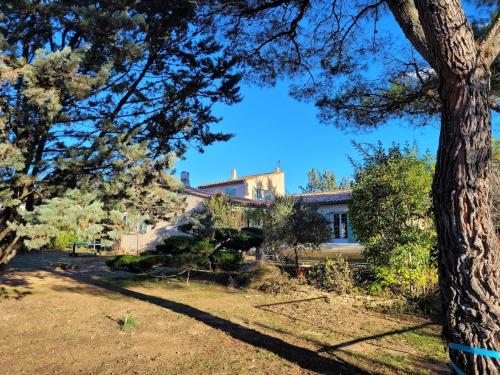 une maison avec un arbre devant dans l'établissement Family villa with pool in Aix-en-Provence, à Aix-en-Provence