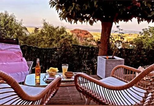 Charmant appartement vue mer