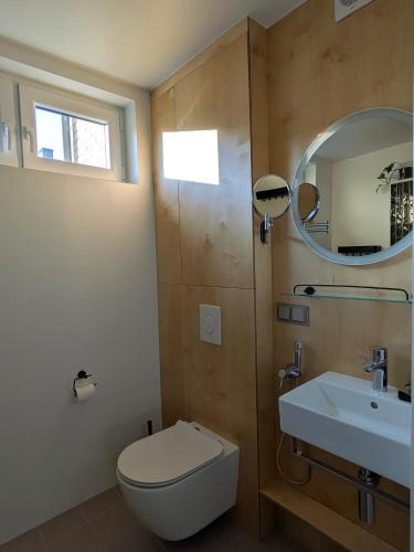 a bathroom with a toilet and a sink and a mirror at Aia kodu in Haapsalu