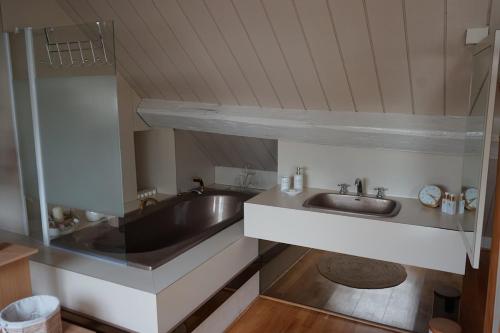 une salle de bain avec deux lavabos et un miroir dans l'établissement Loft Duplex 33 Career, à Nancy