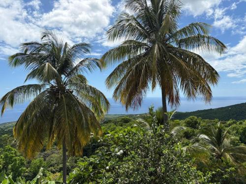 Naturlandskabet i nærheden af lejligheden