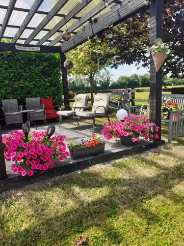 a pergola with flowers on a patio at Seven Stars B&B in Portarlington