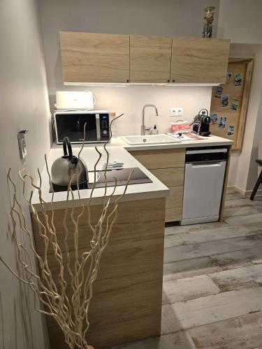 a kitchen with a tea kettle on a counter at Le Loft de Genas - la Bastide, le Chalet, le Loft, le Mas, la Paillote in Genas