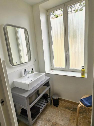 a bathroom with a sink and a mirror at Le Loft de Genas - la Bastide, le Chalet, le Loft, le Mas, la Paillote in Genas