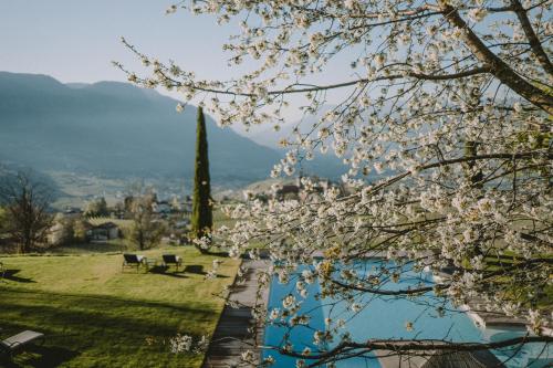 a tree with white flowers next to a body of water at Hotel KÜGLERHOF in Tirolo