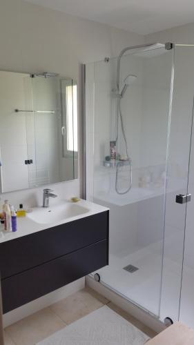 ein Badezimmer mit Waschbecken und Dusche in der Unterkunft Villa avec piscine in La Ciotat