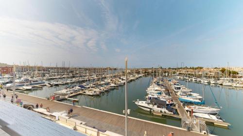 un port de plaisance rempli de nombreux bateaux dans l'eau dans l'établissement Magnifique appartement avec vue exceptionnelle sur le Port , dernier étage terrasse parking, au Cap d'Agde