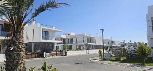 a street with white buildings and a palm tree at Modern Luxury Apartment in Aglantzia
