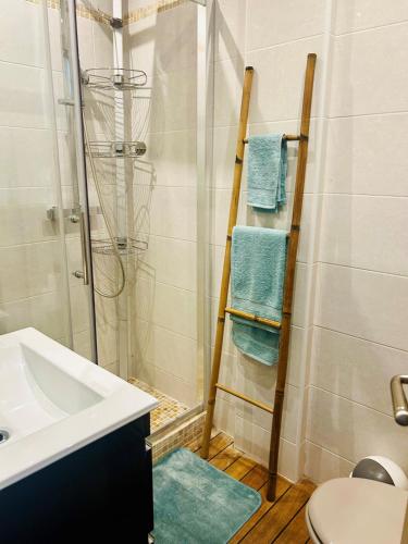 La salle de bains est pourvue d'une douche et de serviettes bleues. dans l'établissement Casa Blue Azur - Juan Les Pins, à Antibes
