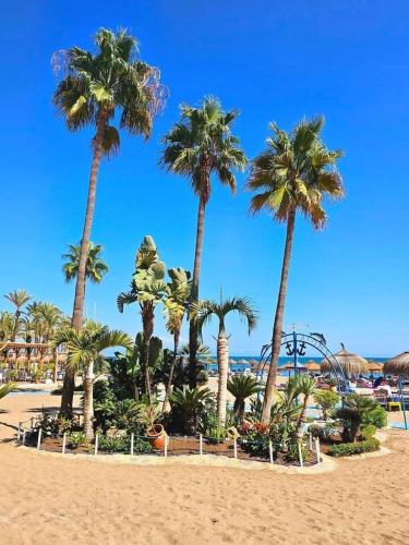 a group of palm trees on a sandy beach at Chalet Playamar 300m de la playa in Torremolinos
