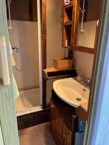 une salle de bain avec un lavabo et une douche dans l'établissement Appart cosy, à Orcières