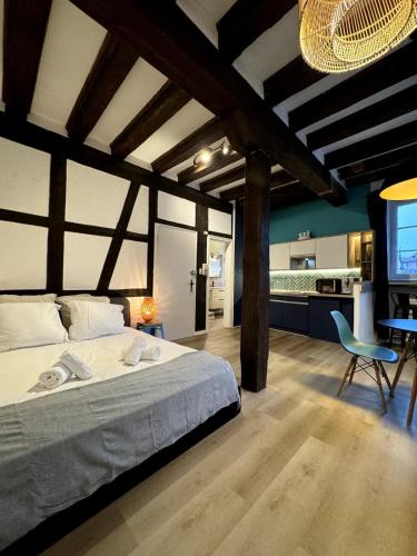 Les Suites Schwendi en Hypercentre