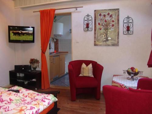ein Wohnzimmer mit einem roten Sessel und einem Fernseher in der Unterkunft Wohnung in LübbenauSpreewald mit Garten, Terrasse und Grill in Lübbenau