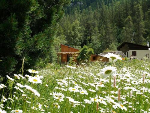 a field of flowers in front of a cabin at Gite de charme 3 étoiles in Belvédère