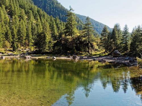a mountain lake with trees in the background at Gite de charme 3 étoiles in Belvédère