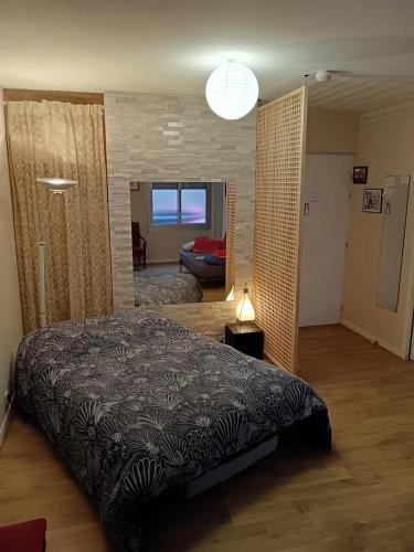 une chambre avec un grand lit dans une pièce dans l'établissement Studio charmant à Clermont-Ferrand, 31 m², à Clermont-Ferrand