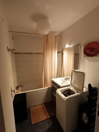une salle de bain avec un lavabo et une baignoire dans l'établissement Studio charmant à Clermont-Ferrand, 31 m², à Clermont-Ferrand