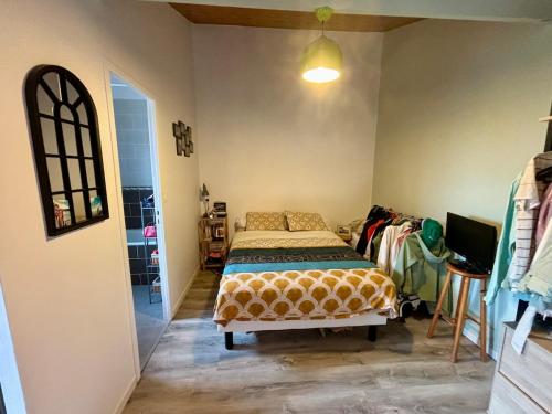 een slaapkamer met een bed in een kamer bij Le Donjon - Agréable T2 centre ville - parking gratuit 2 min - in Mont-de-Marsan