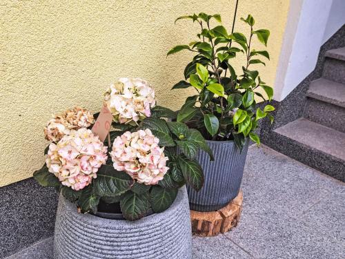 Apartment Waldfrieden by Interhomeにある庭