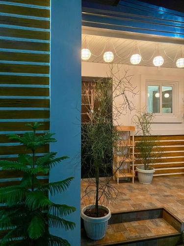 a room with two potted plants and a blue wall at Casa Tres16 Quality Cheap WI-FI in Pilar