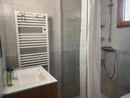 a bathroom with a shower and a sink and a shower at Maison Les Sables Un havre de paix au cœur de la in Bouzemont